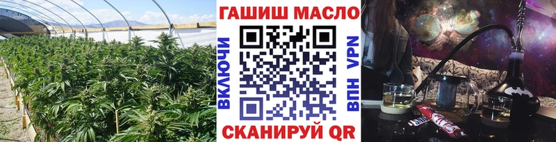 даркнет сайт  Северобайкальск  omg tor  ТГК THC oil 