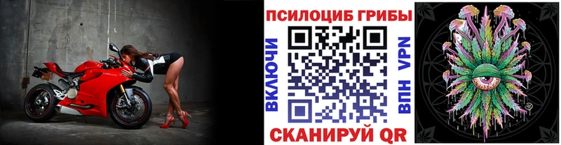 Псилоцибиновые грибы MAGIC MUSHROOMS  Северобайкальск 