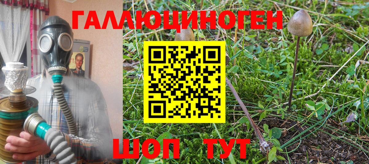 Северобайкальск  Галлюциногенные грибы MAGIC MUSHROOMS  Галлюциногенные грибы Cubensis  Вход с VPN 